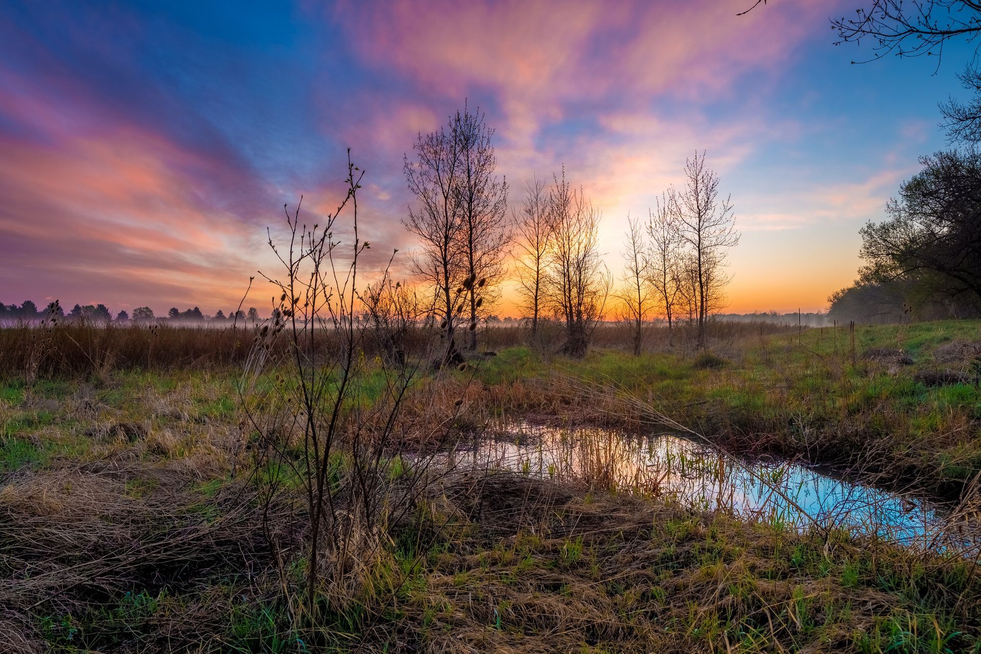 В России предложили эффективные методы очистки болотных лугов от радиации