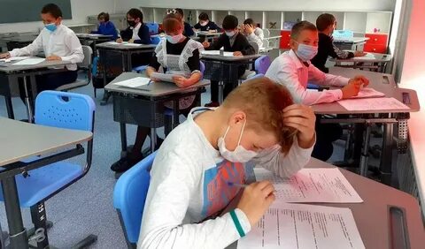 Муниципальный этап всероссийской олимпиады школьников стартует в Вологодской области