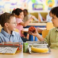 Роспотребнадзор проверит качество питания детей в школе и дома